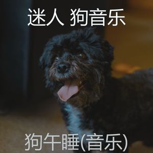 好玩的(幼犬)
