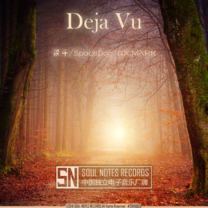 Deja Vu