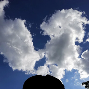 我抬头一看满街都是单身的狗