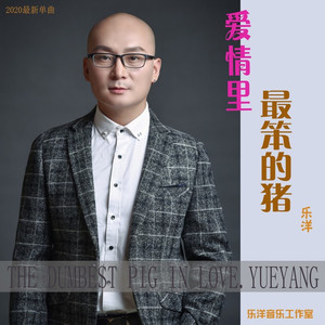 爱情里最笨的猪