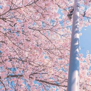 Screenrecording_20220324_191511_2022-03-24_191654