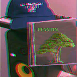 Plantin