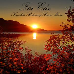 Solfegietto C Minor, H 220 Wq 117.2