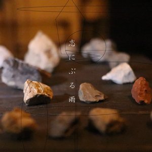 優雅な月灯りの下で