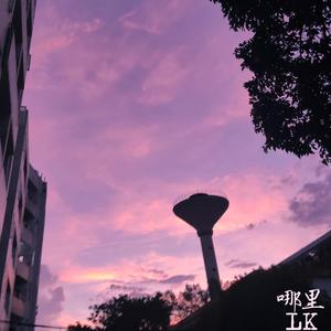 哪里