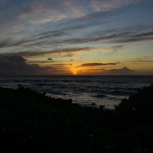 Relaxing Crickets And Waterfall