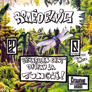 Schaerabeek (feat. Loxley)