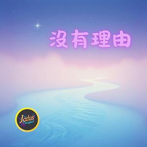 沒有理由