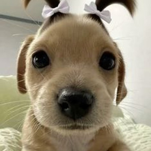 There's A Field (sped up)