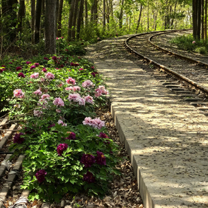 光落在我们身上.wav