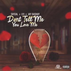 Don't Tell Me You Love Me (feat. Lyj & Jay Dashay)
