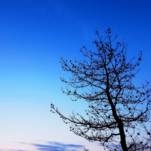 ウィークエンド