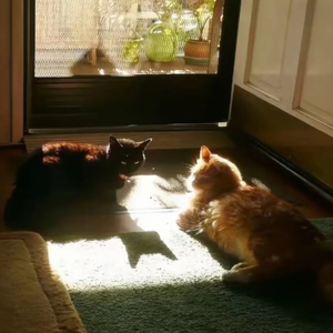 困在回忆里爱你.mp3