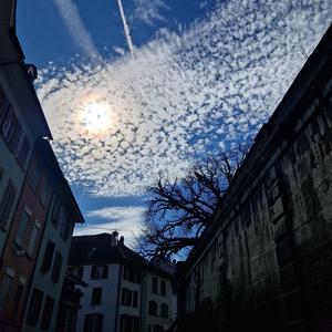 Guggämusik