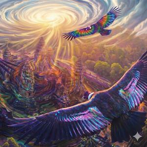 CONDORS