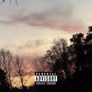 captain falcon (feat. klipsdeath)