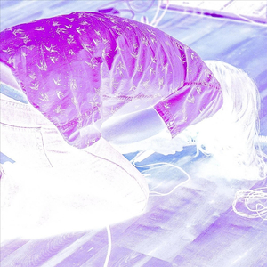 Sonic Kraut IV (Live)