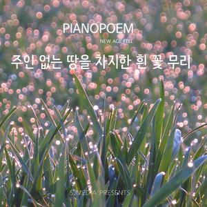 주인 없는 땅을 차지한 흰 꽃 무리