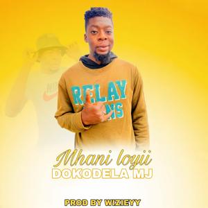 DOKODELA (feat. Dokodela Mj)