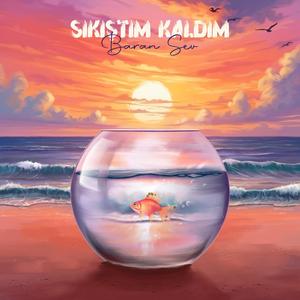 Sıkıştım Kaldım