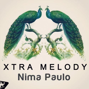 Melody Funk (Original Mix)