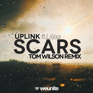 Scars (Tom Wilson Remix)