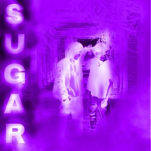 Sugar (feat. Niko Away)