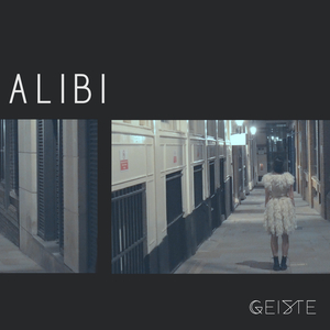 Alibi