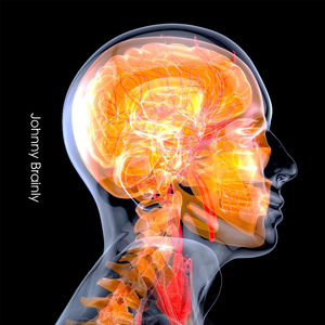 Axonal Transmission across Inner Space