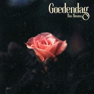 Goedendag