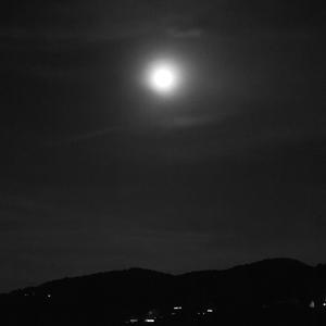 i watch the moon (slowed with reverb)