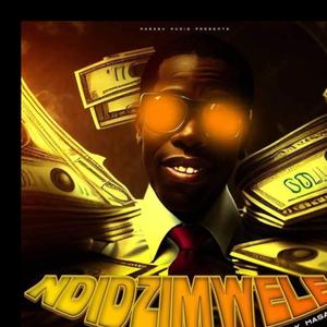 Ndizimwere (feat. Ckaveri DM, Vister & Vybez killer)