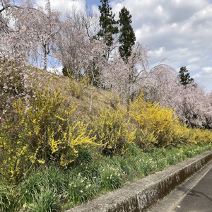 ６０半ば過ぎのバラード