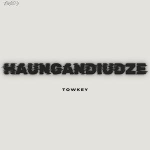 HAUNGANDIUDZE