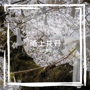 梳妆
