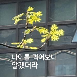 나이를 먹어보니 알겠더라