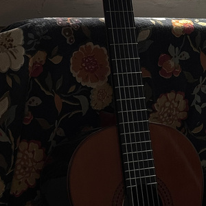 Engagement Party（订婚派对）