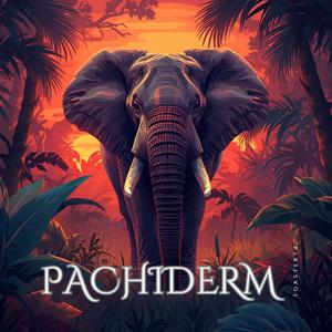 Pachiderm