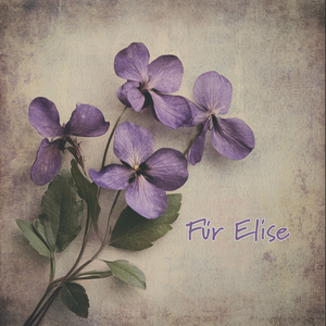Für Elise (Bagatelle in A Minor, WoO 59)