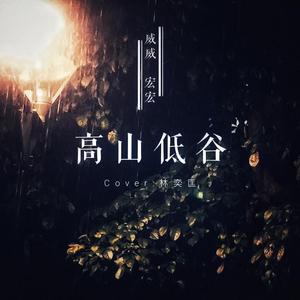 高山低谷（Live）