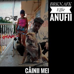 Câinii mei (feat. Brkn.afk)