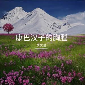 康巴汉子的胸膛