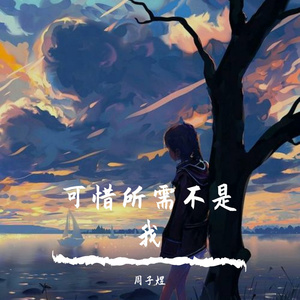 可惜所需不是我