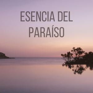 Introspección Brillante