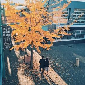 听见远方有回响在守候