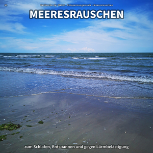 Gelöst am Meer