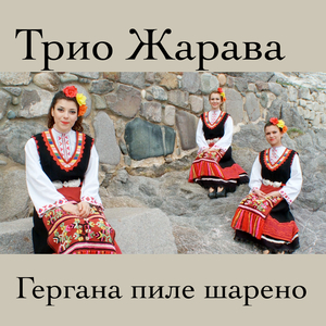 Гергана пиле шарено