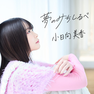 夢のみちしるべ