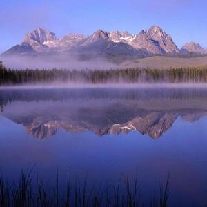 为什么我的世界里面都是你