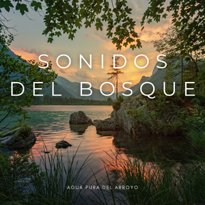 Zumbidos De Mosquitos